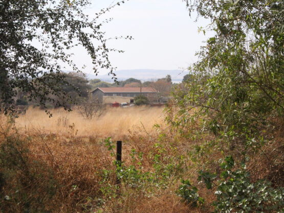 VACANT STAND